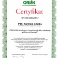 Powiększ obraz: certificate 17
