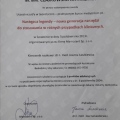 Powiększ obraz: certificate 4