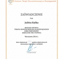 Powiększ obraz: certificate 13