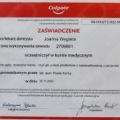 Powiększ obraz: certificate 10