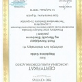 Powiększ obraz: certificate 2