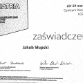 Powiększ obraz: certificate 4