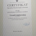 Powiększ obraz: certificate 2