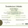 Powiększ obraz: certificate 2
