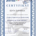 Powiększ obraz: certificate 2