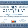Powiększ obraz: certificate 10