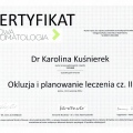 Powiększ obraz: certificate 4