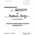 Powiększ obraz: certificate 19