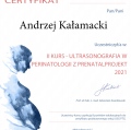 Powiększ obraz: certificate 32