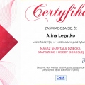 Powiększ obraz: certificate 7