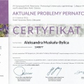 Powiększ obraz: certificate 19
