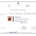 Powiększ obraz: certificate 16