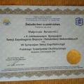 Powiększ obraz: certificate 3