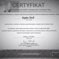 Powiększ obraz: certificate 2
