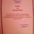 Powiększ obraz: certificate 10