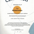 Powiększ obraz: certificate 6