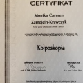 Powiększ obraz: certificate 3