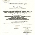 Powiększ obraz: certificate 2