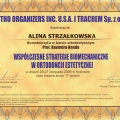 Powiększ obraz: certificate 19
