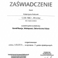 Powiększ obraz: certificate 8