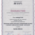 Powiększ obraz: certificate 3