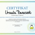 Powiększ obraz: certificate 14