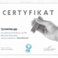 Powiększ obraz: certificate 4