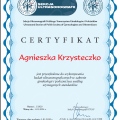 Powiększ obraz: certificate 1