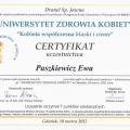 Powiększ obraz: certificate 13
