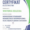 Powiększ obraz: certificate 7