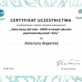 Powiększ obraz: certificate 5