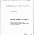 Powiększ obraz: certificate 5