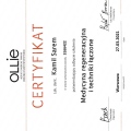 Powiększ obraz: certificate 17