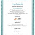 Powiększ obraz: certificate 7