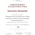 Powiększ obraz: certificate 5