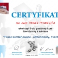 Powiększ obraz: certificate 22