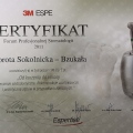 Powiększ obraz: certificate 4