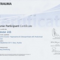 Powiększ obraz: certificate 17