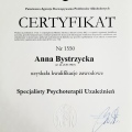 Powiększ obraz: certificate 1