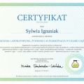 Powiększ obraz: certificate 7