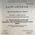 Powiększ obraz: certificate 1