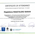 Powiększ obraz: certificate 13