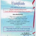Powiększ obraz: certificate 12