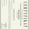 Powiększ obraz: certificate 7