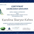 Powiększ obraz: certificate 14