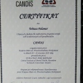 Powiększ obraz: certificate 6