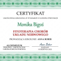 Powiększ obraz: certificate 12