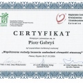 Powiększ obraz: certificate 13