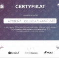 Powiększ obraz: certificate 19