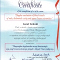 Powiększ obraz: certificate 4